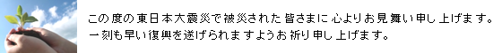 この度の東日本大震災で被災された皆さまに心よりお見舞い申し上げます。一刻も早い復興を遂げられますようお祈り申し上げます。