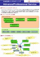 プロフェッショナルサービス
